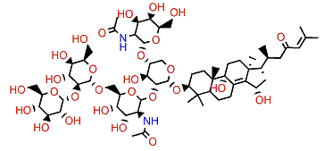 Sarasinoside I1